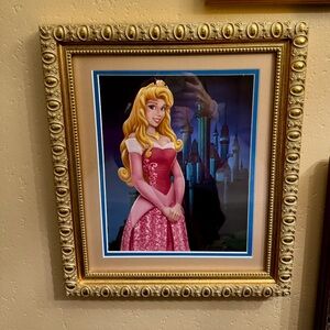 Disney’s Port Orleans Framed Princess Portrait Art